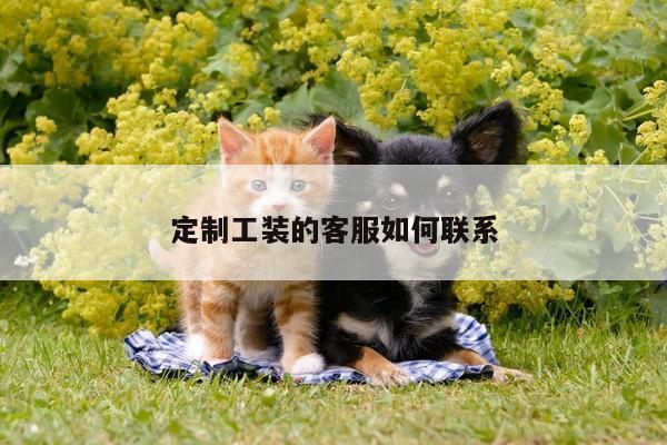 EMC易倍体育官方入口|定制工装的客服如何联系