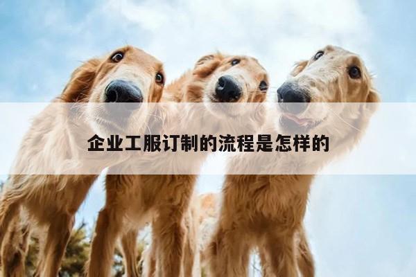 emc易倍_企业工服订制的流程是怎样的