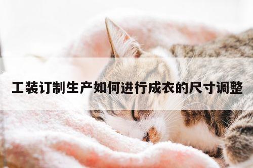 emc易倍体育：工装订制生产如何进行成衣的尺寸调整