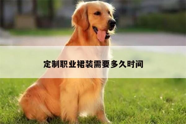 定制职业裙装需要多久时间_emc易倍体育官方网站