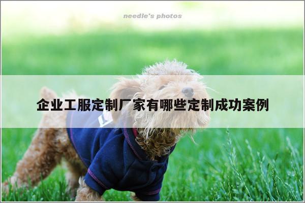 企业工服定制厂家有哪些定制成功案例：emc易倍