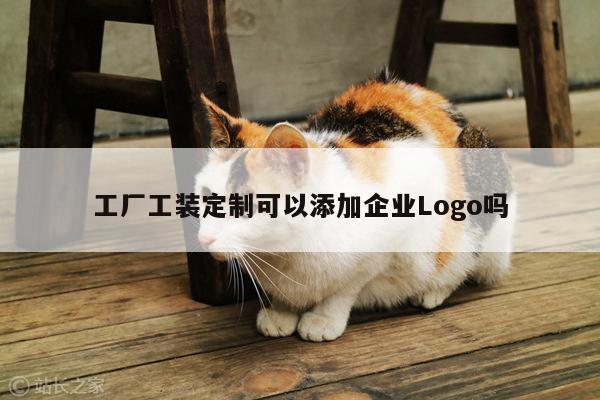 工厂工装定制可以添加企业Logo吗【emc易倍】