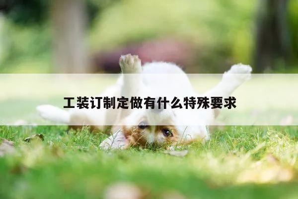 工装订制定做有什么特殊要求-emc易倍