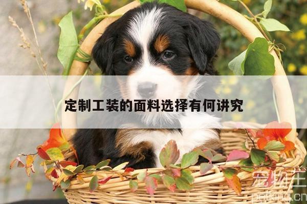 emc易倍体育官方网站：定制工装的面料选择有何讲究