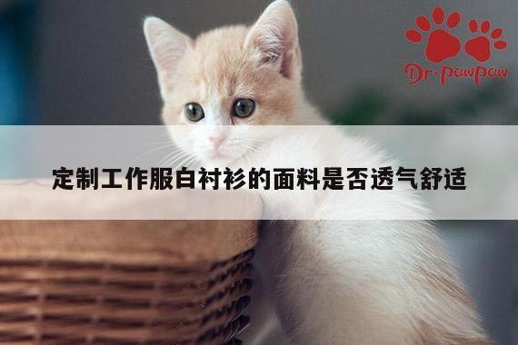 定制工作服白衬衫的面料是否透气舒适|emc易倍体育官方网站