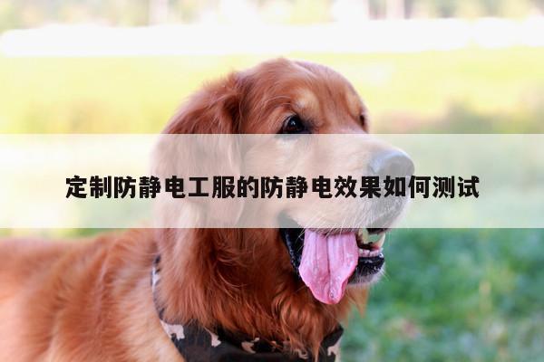 emc易倍体育：定制防静电工服的防静电效果如何测试